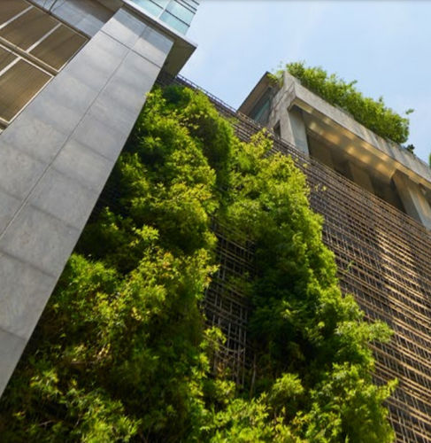Mur végétal en végétaux vivants - FOREST - GREEN WALL - POHL Metal Systems GmbH - stabilisé / en panneau modulaire / naturel