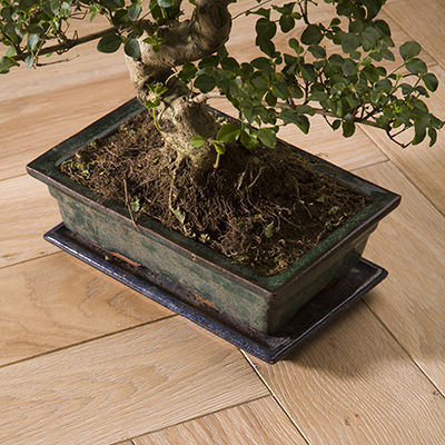 Parquet contrecollé - 303 B - CHENE DE L EST  - massif / en chêne / à batons rompus