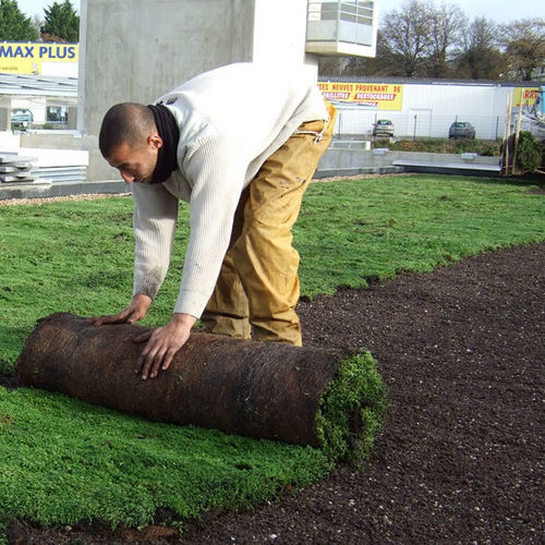Toiture végétalisée extensive - ID MAT®   - LE PRIEURE - pour toiture inclinée / pour toit-terrasse / drainant