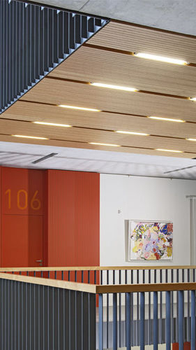 Panneau acoustique pour faux-plafond - DEWETON® - TAVAPAN SA - en bois / rectangulaire / professionnel