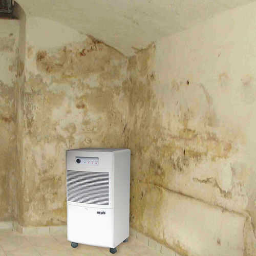 Déshumidificateur mobile - DT 650 - Dantherm Group A/S - professionnel