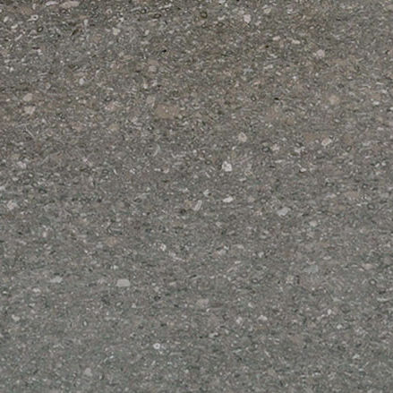 Plaque de pierre en marbre - FOSSIL GREY - PAYANINI SRL - pour sol / pour agencement intérieur / mate