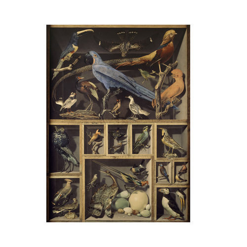 Papier peint contemporain - EXOTIC BIRDS  - Papiers de Paris - à motif animalier / aspect papier peint / sable