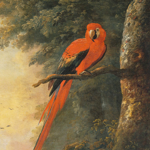 Papier peint contemporain - RED MACAW 1/2 - Papiers de Paris - à motif animalier / aspect papier peint / multicolore