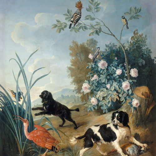 Papier peint contemporain - DOGS&BIRDS 1/4 - Papiers de Paris - à motif nature / à motif animalier / aspect papier peint
