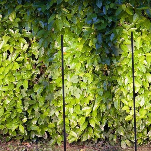 Borne d'éclairage de jardin - ACORUS - Inverlight Srl - contemporaine / en acier inoxydable / à LED