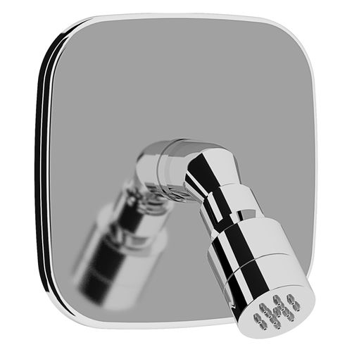 Pommeau de douche mural - VIAREGGIO R L - Inoxstyle - rond / professionnel