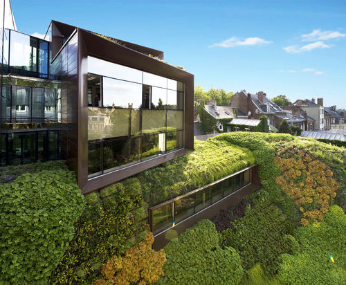 Mur végétal en végétaux vivants - VERTIFLORE®   - TRACER - en panneau modulaire / sur mesure / colonne