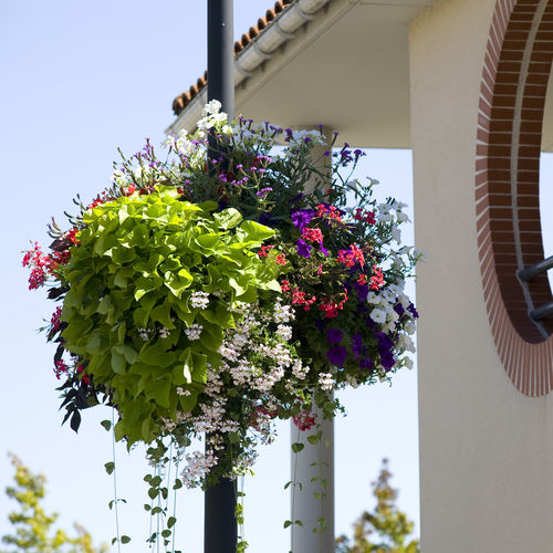 Support pour jardinière suspendue - JIFLOR - ATECH