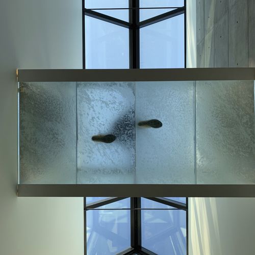 Revêtement de sol en verre - ThinkGlass - d'intérieur / d'extérieur / pour marche