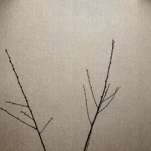 Papier peint contemporain - PICTURA : LINEE - Parato - en vinyle / uni / aspect tissu