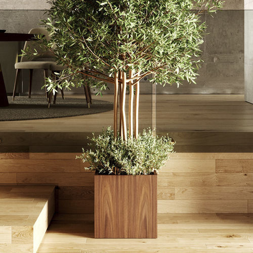 Pot de fleur en noyer - Soho - Irmaos Pereira Pacheco, SA - à poser / cube / résidentiel
