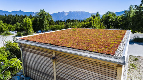 Système pour toiture végétalisée extensive - MobiRoof ECO - Mobilane - pour toit-terrasse / étanche / pente inférieure à 2%