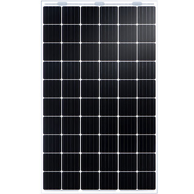 Panneau photovoltaïque monocristallin - NIPRO DUAL TD6D60M - Talesun Solar - bi-verres / sans cadre / sans PID