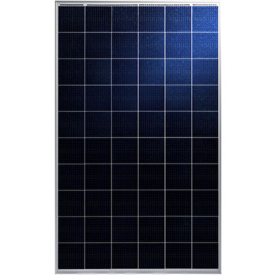 Panneau photovoltaïque polycristallin - MIPRO III TP660P - Talesun Solar - coloré / sans PID / avec cadre en aluminium