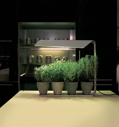 Lampe de culture - SOLARIA: COLTIVA - Knikerboker - de table / en acier / contemporaine