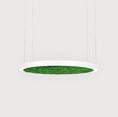 Luminaire suspendu - RINGO STAR 60 - Lightnet GmbH  - à LED / en hauteur / pour intérieur