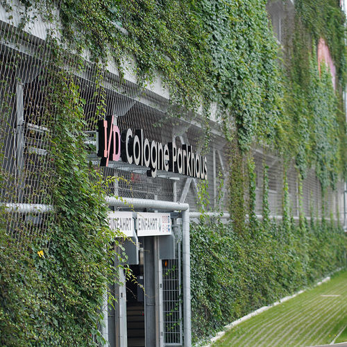 Treillage pour façade - GREENCABLE® – SAFETY - Carl Stahl ARC GmbH - pour mur végétal / en acier inoxydable