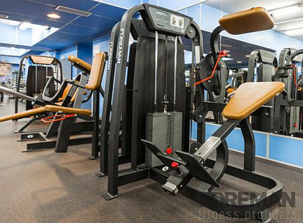 Appareil de musculation extension du dos - FS-305  - Foreman Fitness Europe GmbH - d'intérieur