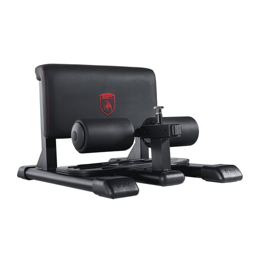 Appareil de musculation squat - 4SHO066/1 - Telju Fitness - d'intérieur / professionnel