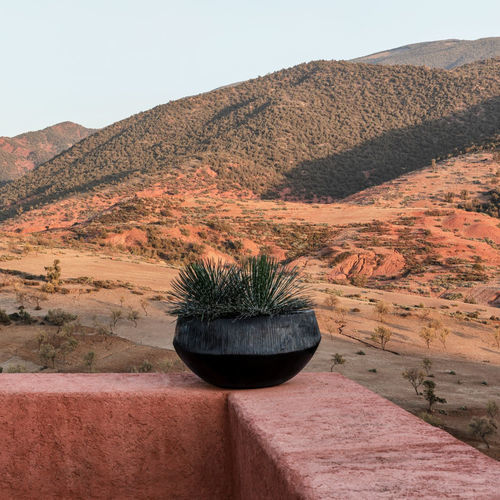 Jardinière en terracotta - ATLANTIS - DOMANI - ronde / contemporaine / marron