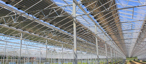 Panneau photovoltaïque polycristallin - PVP-GREENHOUSE  - PVP - transparent / pour serre
