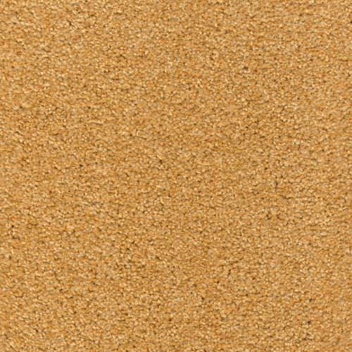 Moquette tuftée - CARLTON - Anker-Teppichboden - en polyamide / en velours / pour le tertiaire