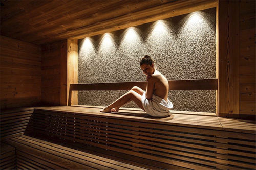 Sauna résidentiel - . - Hofer Group GmbH