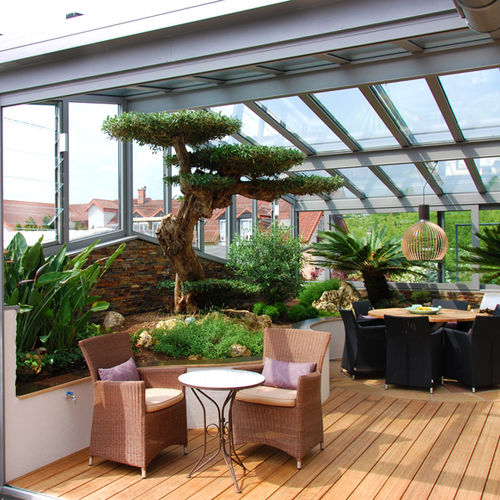 Jardin d'intérieur - OLEA HORIZONTALIS - Botanic International
