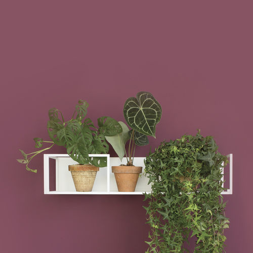 Étagère murale - FLOO - Balma - contemporaine / en métal / pour bureau