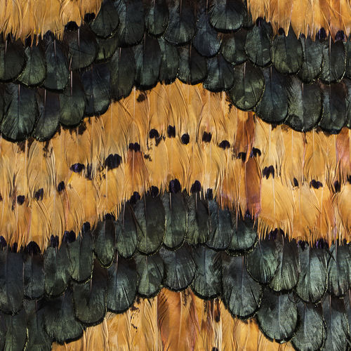 Revêtement mural pour intérieur - PEACOCK PHEASANT CARAMEL - KOKET Love Happens - en plumes / résidentiel