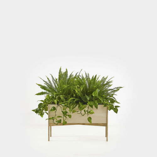 Jardinière en bois - Ori  - ANOTHER COUNTRY - rectangulaire / contemporaine / pour bureau
