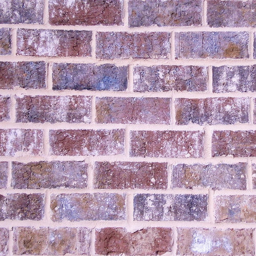 Brique pour façade - HARBOUR SHOALS - PINE HALL BRICK - pleine / blanche