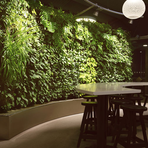 Jardin vertical en végétaux vivants - LOUNGE AT ARLANDA TERMINAL 2 - GREENWORKS SWEDEN - sur mesure / courbe / naturel