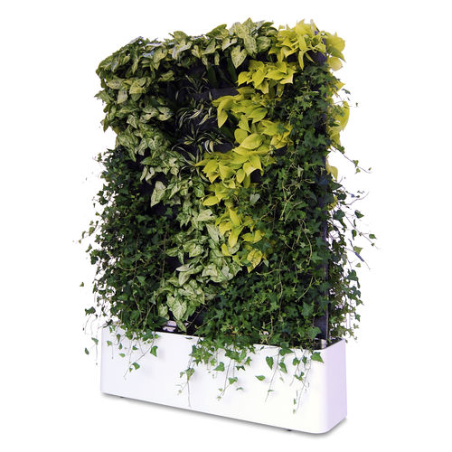 Mur végétal en végétaux vivants - MOVING HEDGE - GREENWORKS SWEDEN - en panneau modulaire / naturel / d'intérieur