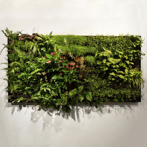 Tableau végétal en végétaux vivants - 2M2 - GREENWORKS SWEDEN - naturel / d'intérieur / suspendu