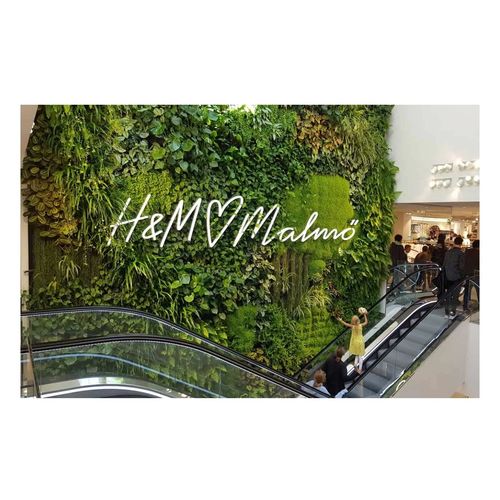 Jardin vertical en végétaux vivants - H&M AT GUSTAV ADOLFS TORG - GREENWORKS SWEDEN - sur mesure / naturel / d'intérieur