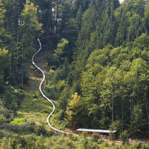Toboggan tournant - TREE TOP WALK WALDKIRCH  - atlantics GmbH - pour aire de jeux / en acier inoxydable / tubulaire