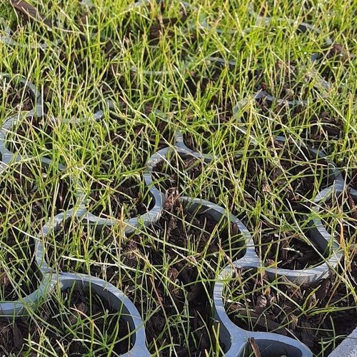 Dalle gazon en plastique recyclé - ECCODAL HD - ECCO PRODUCTS
