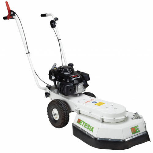 Tondeuse à gazon à conducteur marchant - MBR50 WEEDER - Etesia S.A.S. - électrique