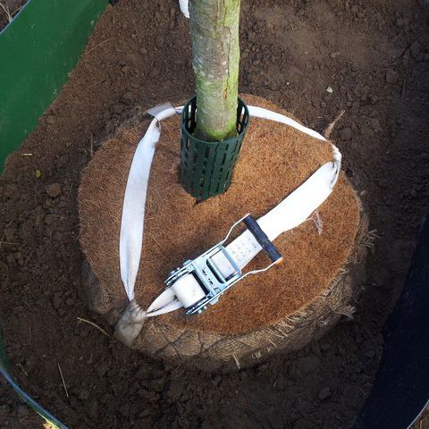 Ancrage de motte souterrain - BIO  - Greenmax