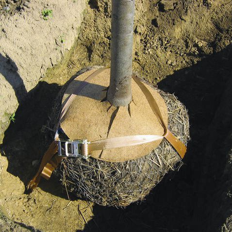 Ancrage de motte hors-sol - GGB SERIES - Greenmax - souterrain