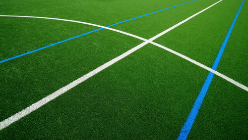 Gazon naturel - PRO R - Polytan GmbH - en rouleau / pour terrain de sport / multifonctionnel