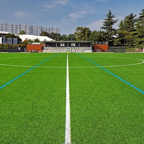 Gazon synthétique - LEGEND PRO - Polytan GmbH - naturel / en rouleau / pour terrain de sport