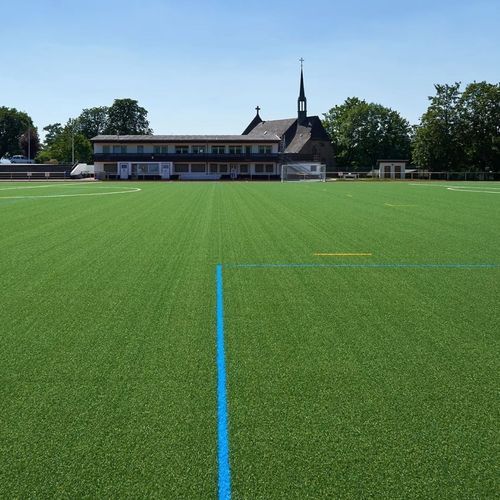 Gazon naturel - SYNERGY R - Polytan GmbH - en rouleau / pour terrain de sport