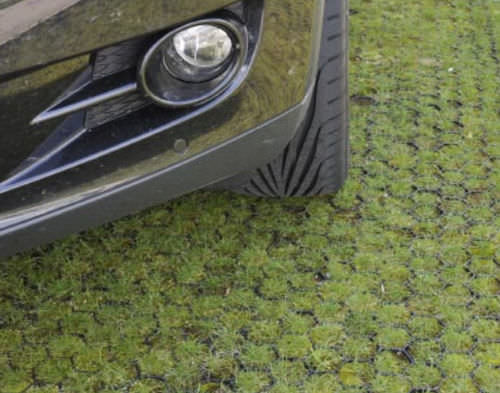 Grille de protection de gazon - PROGRASS - Ritter GmbH