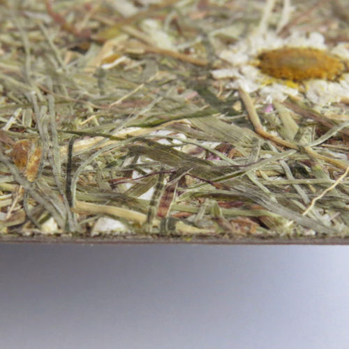 Panneau décoratif pour agencement intérieur - WILDSPITZE MARGERITTA - Organoid Technologies GmbH - en fibre naturelle / en HPL / texturé