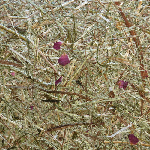 Panneau décoratif pour agencement intérieur - WILDSPITZE ROASA - Organoid Technologies GmbH - en fibre naturelle / en HPL / texturé