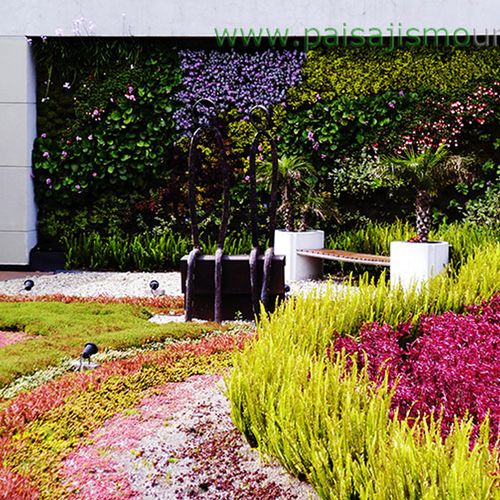 Mur végétal stabilisé - BIOMAX  - Paisajismo Urbano - en panneau modulaire / naturel / en lichen