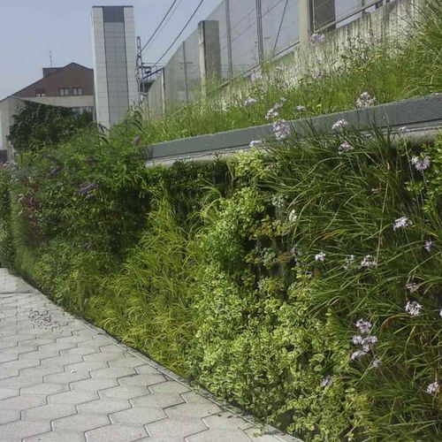 Mur végétal en végétaux vivants - BERANGO, BIZKAIA - Paisajismo Urbano - en panneau modulaire / naturel / de jardin